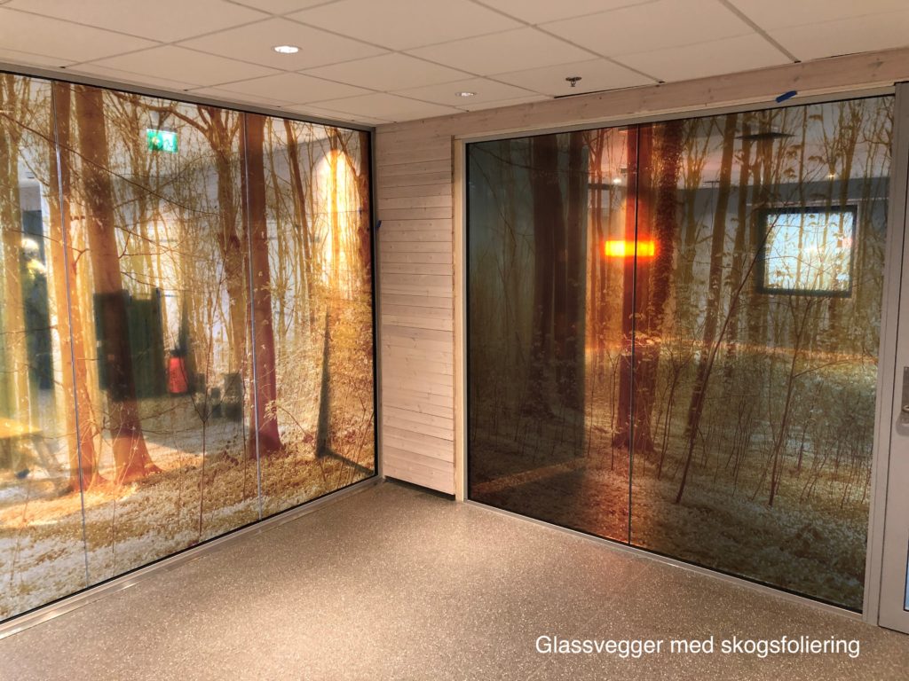 3. KOMBO - Årets helsebygg 2019 - Glassvegger Med Skogsfoliering KILDE ÅF CONSULT